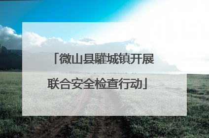 微山县驩城镇开展联合安全检查行动