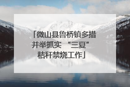 微山县鲁桥镇多措并举抓实 “三夏” 秸秆禁烧工作