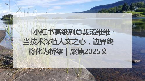 小红书高级副总裁汤维维：当技术深植人文之心，边界终将化为桥梁｜聚焦2025文化强国建设高峰论坛