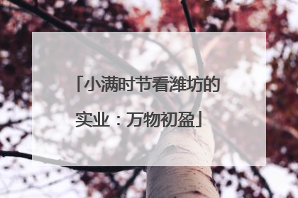 小满时节看潍坊的实业：万物初盈