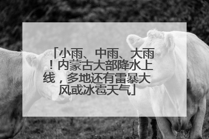 小雨、中雨、大雨！内蒙古大部降水上线，多地还有雷暴大风或冰雹天气