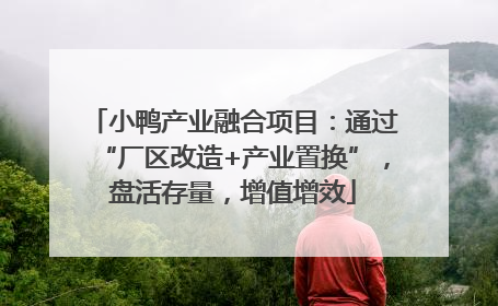 小鸭产业融合项目：通过“厂区改造+产业置换”，盘活存量，增值增效