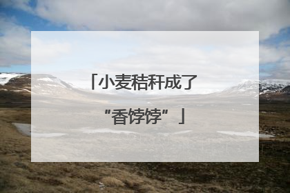 小麦秸秆成了“香饽饽”