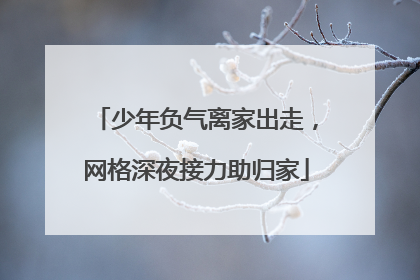 少年负气离家出走，网格深夜接力助归家