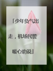 少年负气出走，机场民警暖心劝说