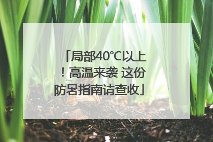 局部40℃以上！高温来袭 这份防暑指南请查收