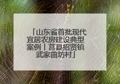 山东省首批现代宜居农房建设典型案例丨莒县招贤镇武家曲坊村