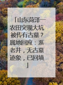 山东菏泽一农田突现大坑被传有古墓？属地回应：系老井，无古墓迹象，已回填