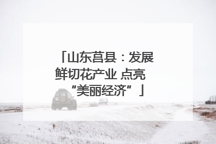 山东莒县：发展鲜切花产业 点亮“美丽经济”