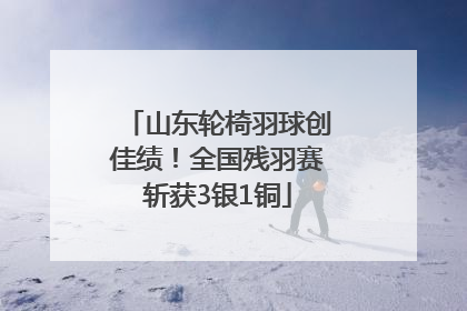 山东轮椅羽球创佳绩！全国残羽赛斩获3银1铜