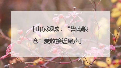 山东郯城：“鲁南粮仓”麦收接近尾声