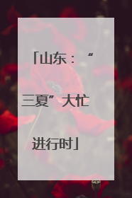 山东：“三夏”大忙进行时