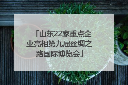 山东22家重点企业亮相第九届丝绸之路国际博览会