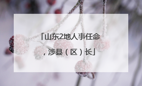 山东2地人事任命，涉县（区）长