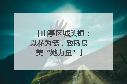 山亭区城头镇：以花为笺，致敬最美“她力量”
