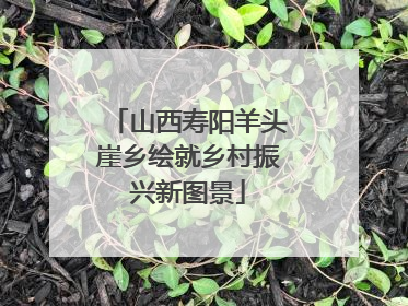 山西寿阳羊头崖乡绘就乡村振兴新图景