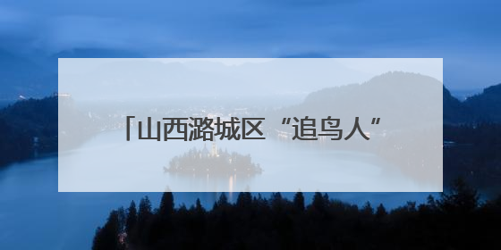 山西潞城区“追鸟人”：镜头定格生态蝶变
