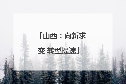 山西：向新求变 转型提速