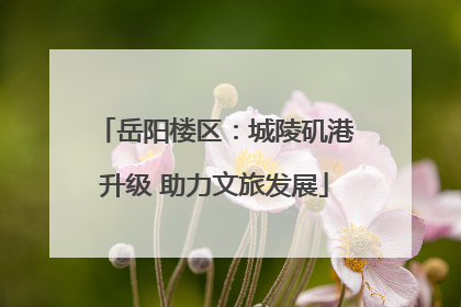 岳阳楼区：城陵矶港升级 助力文旅发展