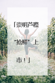 崇明芦穄“抢鲜”上市！