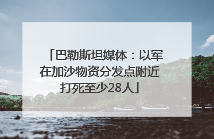 巴勒斯坦媒体：以军在加沙物资分发点附近打死至少28人