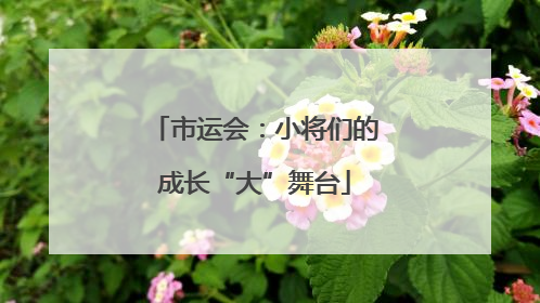 市运会：小将们的成长“大”舞台