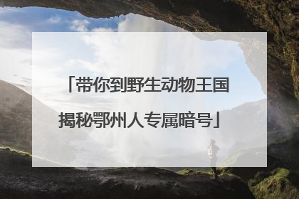 带你到野生动物王国揭秘鄂州人专属暗号