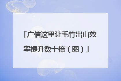 广信这里让毛竹出山效率提升数十倍（图）