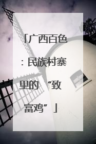 广西百色：民族村寨里的 “致富鸡”