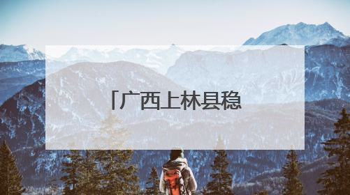 广西上林县稳就业十条措施破解“招工难”和“就业难”