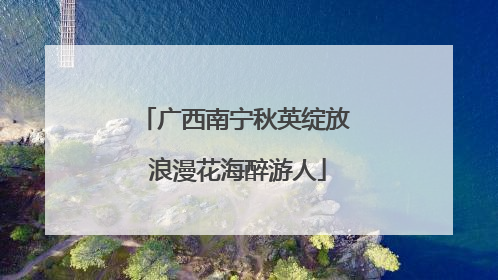 广西南宁秋英绽放 浪漫花海醉游人