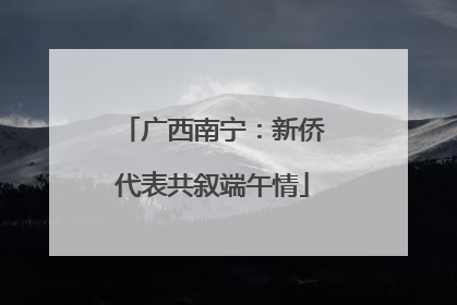 广西南宁：新侨代表共叙端午情