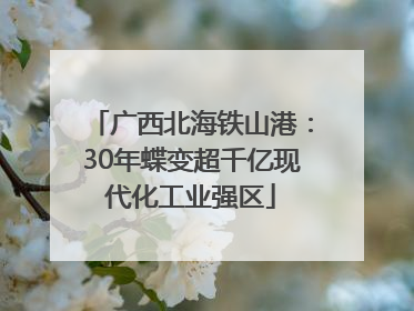 广西北海铁山港：30年蝶变超千亿现代化工业强区