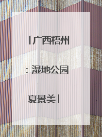 广西梧州：湿地公园夏景美