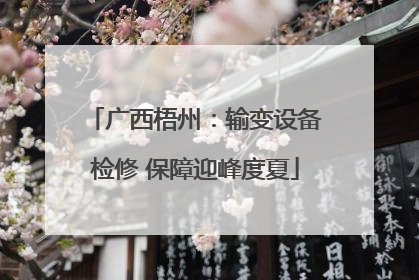 广西梧州：输变设备检修 保障迎峰度夏