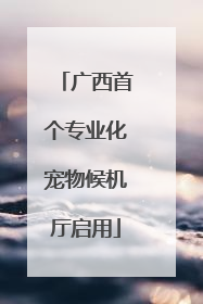 广西首个专业化宠物候机厅启用