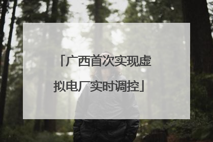 广西首次实现虚拟电厂实时调控