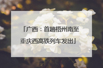 广西：首趟梧州南至重庆西高铁列车发出
