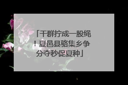 干群拧成一股绳！夏邑县骆集乡争分夺秒促夏种