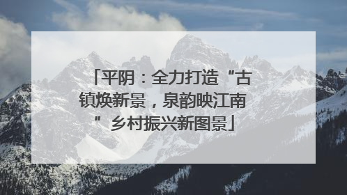 平阴：全力打造“古镇焕新景，泉韵映江南”乡村振兴新图景