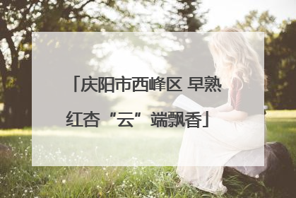庆阳市西峰区 早熟红杏“云”端飘香