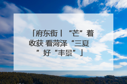 府东街丨“芒”着收获 看菏泽“三夏”好“丰景”