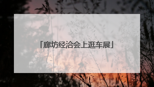 廊坊经洽会上逛车展