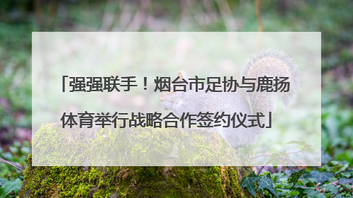 强强联手！烟台市足协与鹿扬体育举行战略合作签约仪式