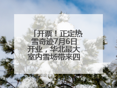 开票！正定热雪奇迹7月6日开业，华北最大室内雪场带来四季滑雪新体验
