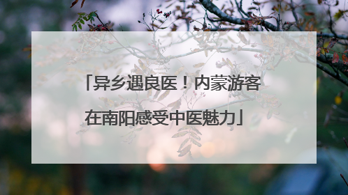 异乡遇良医！内蒙游客在南阳感受中医魅力