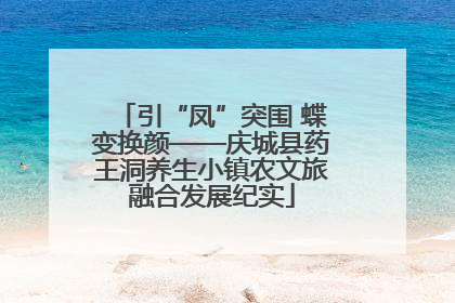 引“凤”突围 蝶变换颜——庆城县药王洞养生小镇农文旅融合发展纪实
