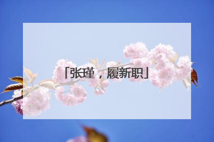 张瑾，履新职