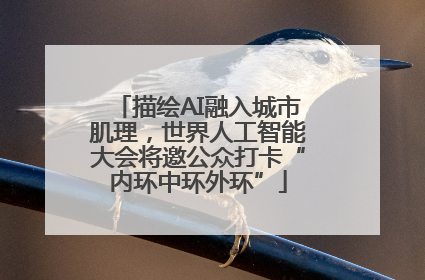 描绘AI融入城市肌理，世界人工智能大会将邀公众打卡“内环中环外环”