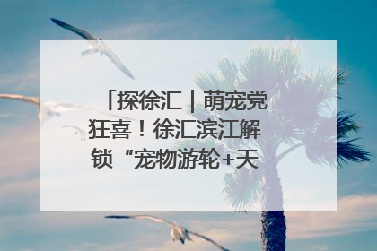 探徐汇｜萌宠党狂喜！徐汇滨江解锁“宠物游轮+天台乐园”双玩法